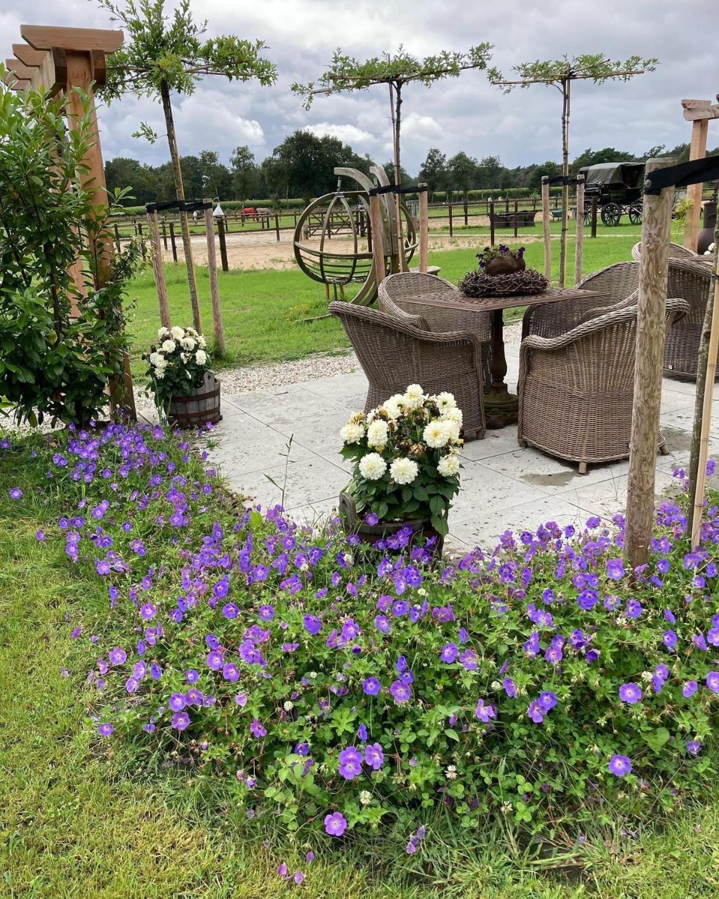 Bed & Breakfast Hoeve Happiness - Ontbijt Inbegrepen - Wellness Aanwezig Voorthuizen Exterior photo